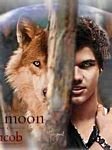 pic for Jacob black